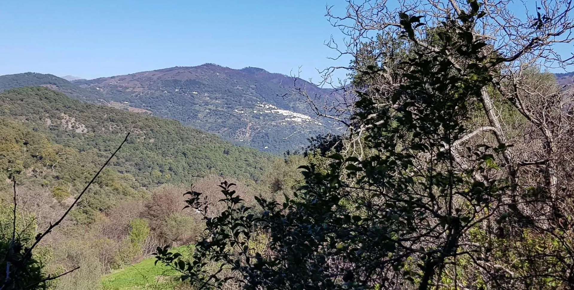 Molino De Santos Villa Benarraba