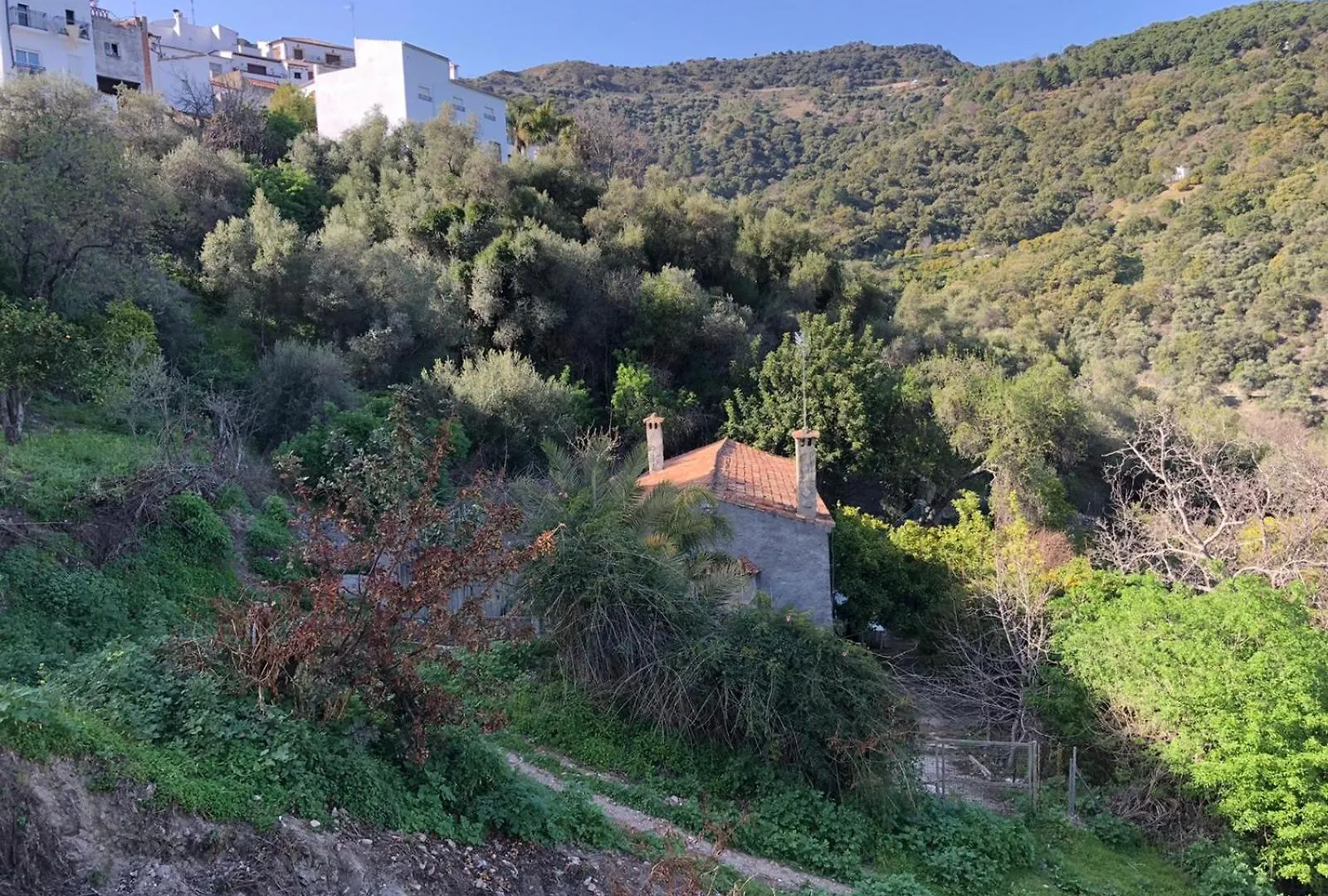 Molino De Santos Villa Benarraba